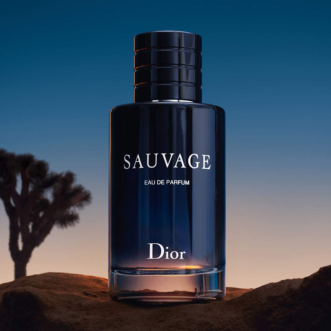 Nước Hoa Nam Dior Sauvage Eau de Parfum
