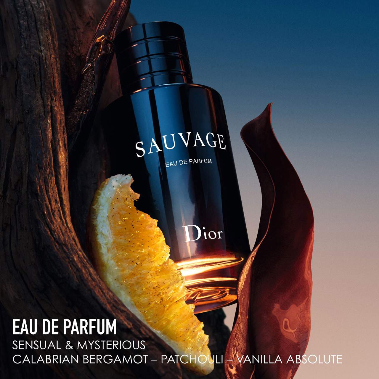 Nước Hoa Nam Dior Sauvage Eau de Parfum
